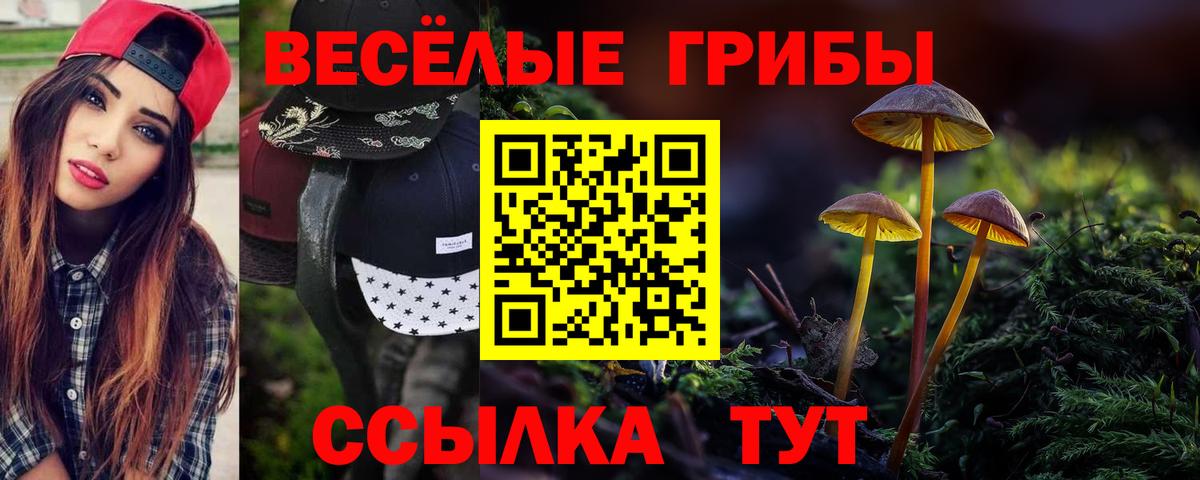 Галлюциногенные грибы GOLDEN TEACHER Кириши