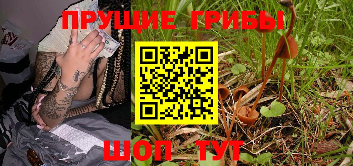 Галлюциногенные грибы Psilocybine cubensis  Вход с VPN  Кириши  Галлюциногенные грибы мухоморы 